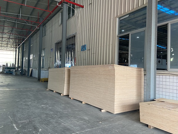 ��ʹ���^����ľ�бPҪ�p���p��